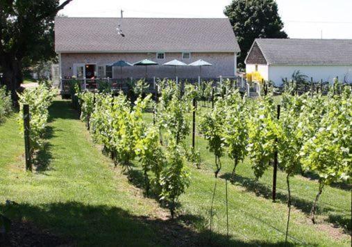 The Langworthy Inn & Winery 韦斯特利 外观 照片